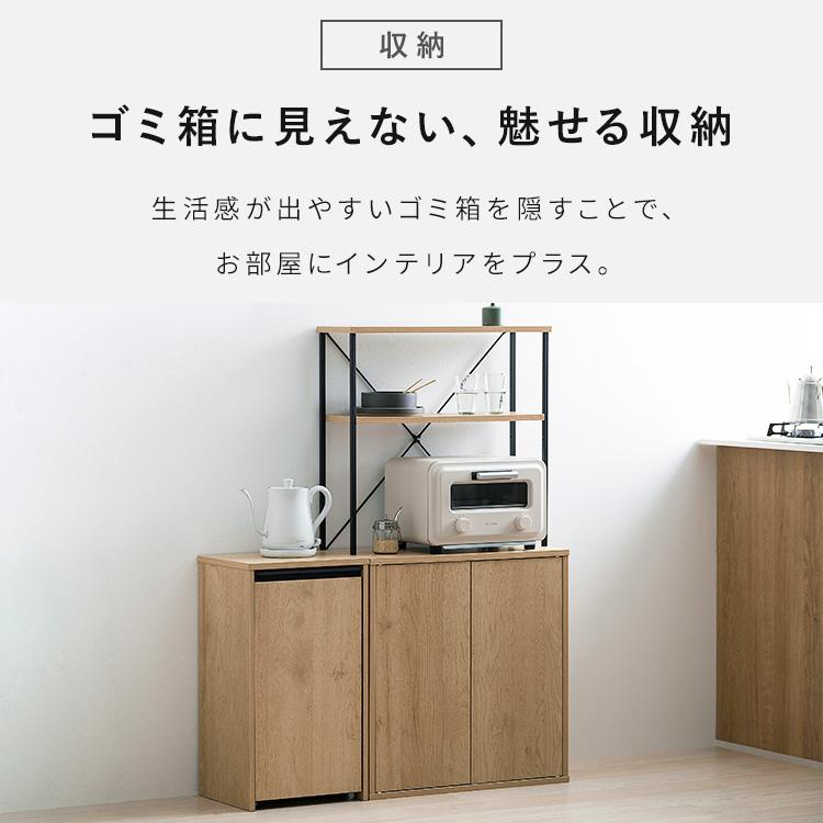 IRIS OHYAMA（アイリスオーヤマ） ゴミ箱 分別 おしゃれ 目隠し