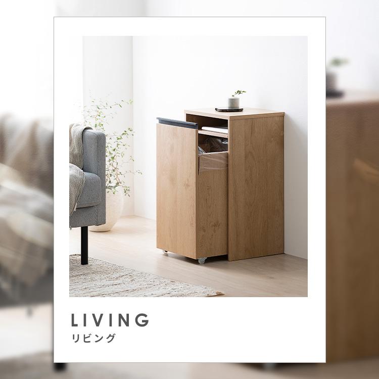 IRIS OHYAMA（アイリスオーヤマ） ゴミ箱 分別 おしゃれ 目隠し