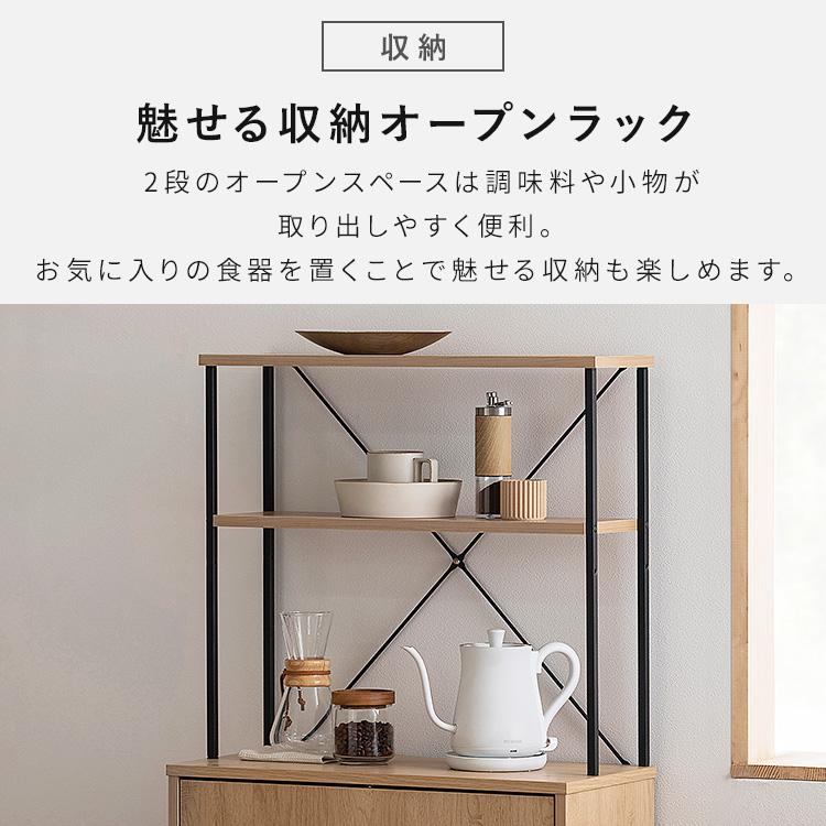 IRIS OHYAMA（アイリスオーヤマ） ゴミ箱 分別 おしゃれ ペール