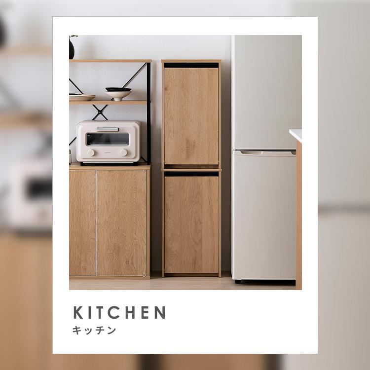 IRIS OHYAMA（アイリスオーヤマ） ゴミ箱 分別 おしゃれ 目隠し ペール