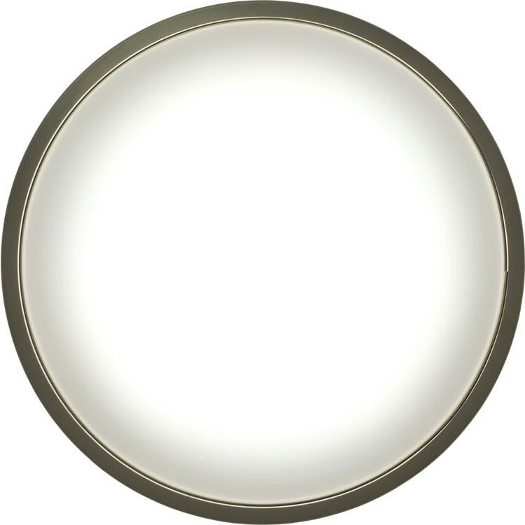 IRIS OHYAMA（アイリスオーヤマ） シーリングライト led 14畳 調光