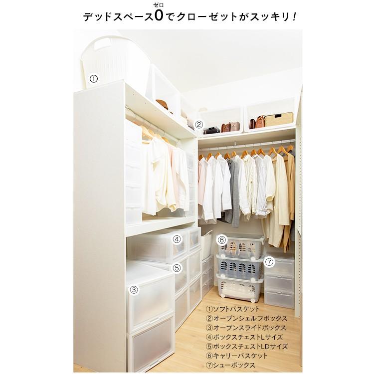IRIS OHYAMA（アイリスオーヤマ） 収納ボックス 収納カゴ プラスチック