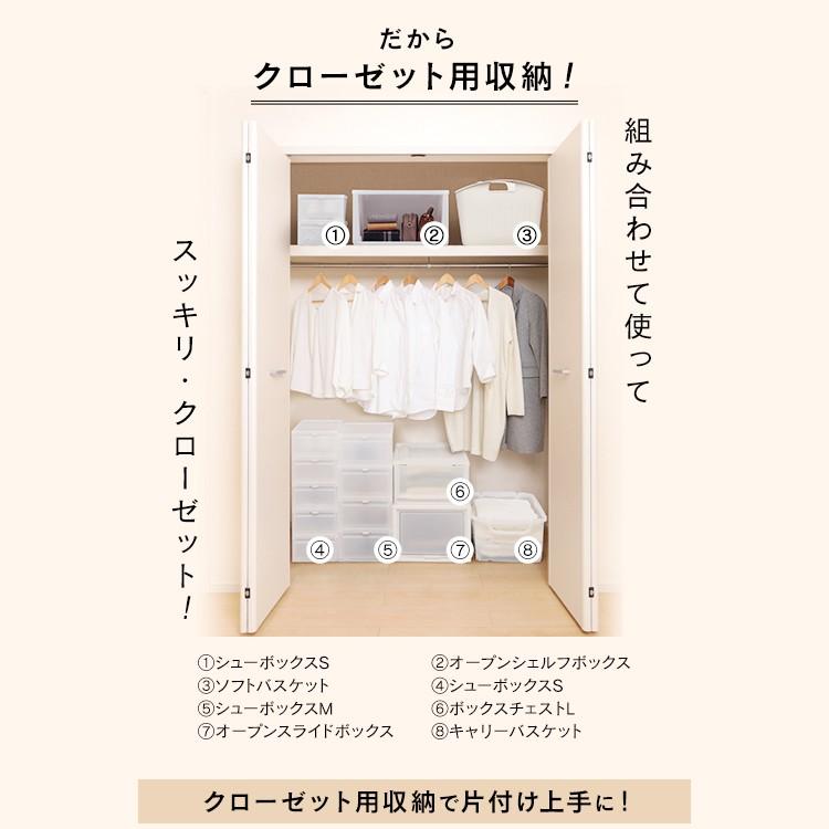 IRIS OHYAMA（アイリスオーヤマ） 収納ボックス 収納カゴ プラスチック