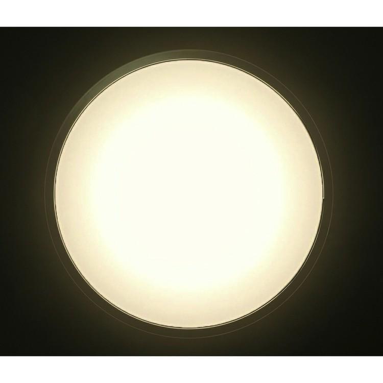 IRIS OHYAMA（アイリスオーヤマ） シーリングライト led 12畳 調光 調