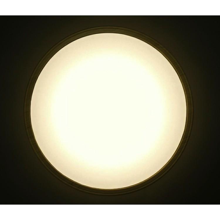 IRIS OHYAMA（アイリスオーヤマ） シーリングライト led 8畳 調光 調色