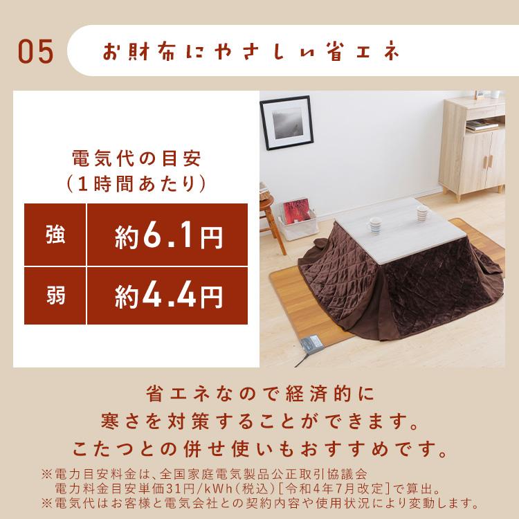 IRIS OHYAMA（アイリスオーヤマ） 木目調ホットカーペット 88×176cm