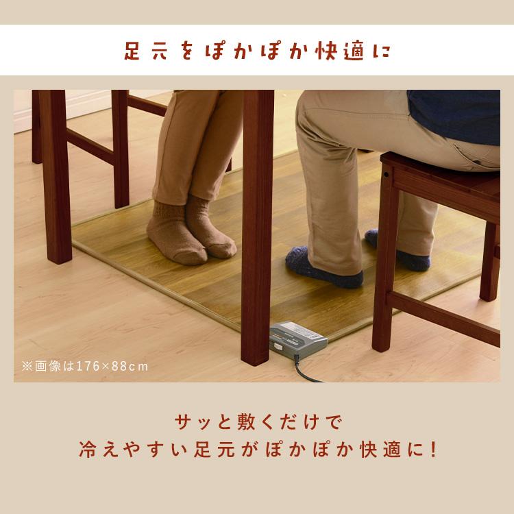 IRIS OHYAMA（アイリスオーヤマ） ホットカーペット 木目調 はっ水 撥