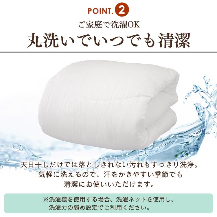 IRIS OHYAMA（アイリスオーヤマ） 掛布団 シングル 洗える 掛け布団