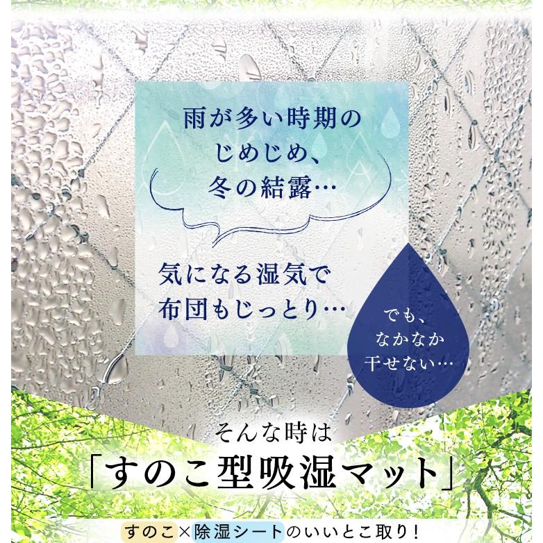 エントリーで+P5％還元♪ 除湿マット すのこ ダブル すのこ型吸湿