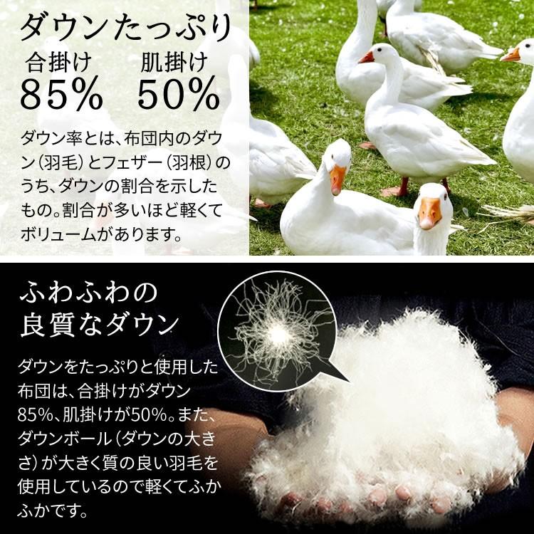羽毛布団 セミダブル ロング 掛け布団 冬 暖かい 羽毛ふとん ホワイトダックダウン85 2枚合わせ Pfa19rp2134 収納専科 Sofort 通販 Yahoo ショッピング