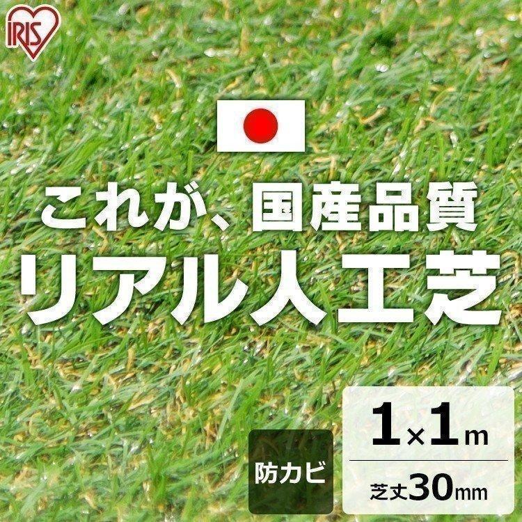 人工芝 ロール 1m 芝生 リアル人工芝 1m×1m 芝丈30m IP-3011 アイリス