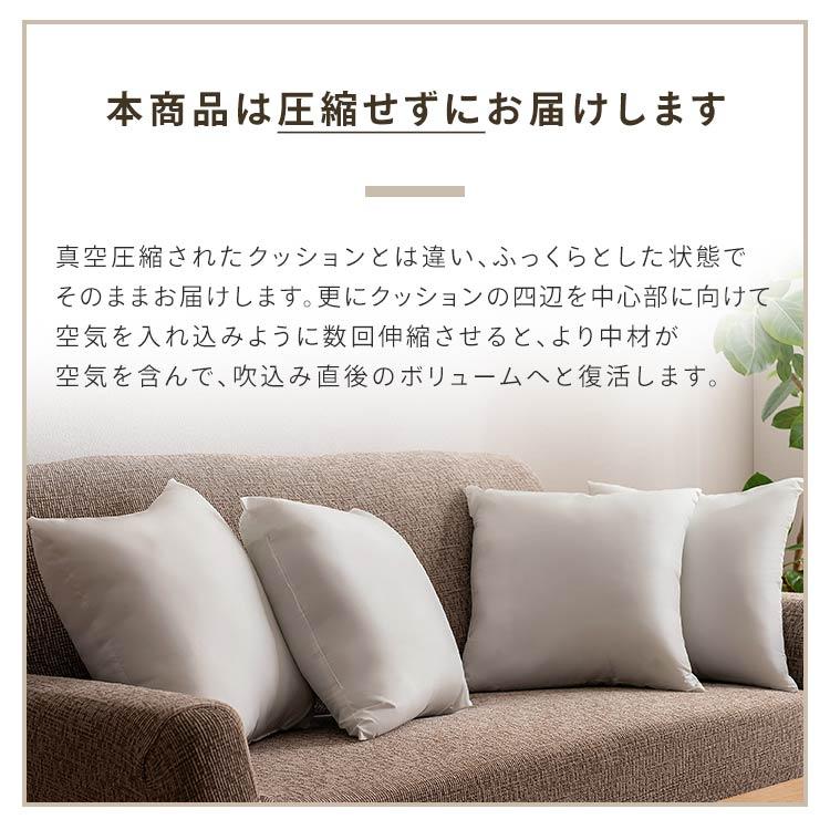 クッション ヌードクッション 2個セット 背当て 肉厚 洗える