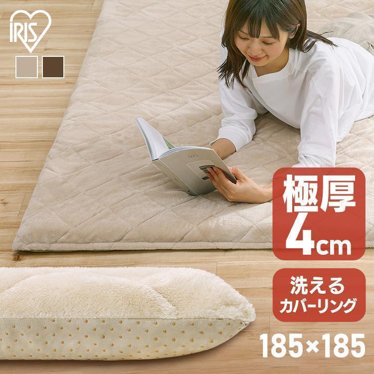 IRIS OHYAMA（アイリスオーヤマ） ラグ ラグマット 冬 おしゃれ 冬用