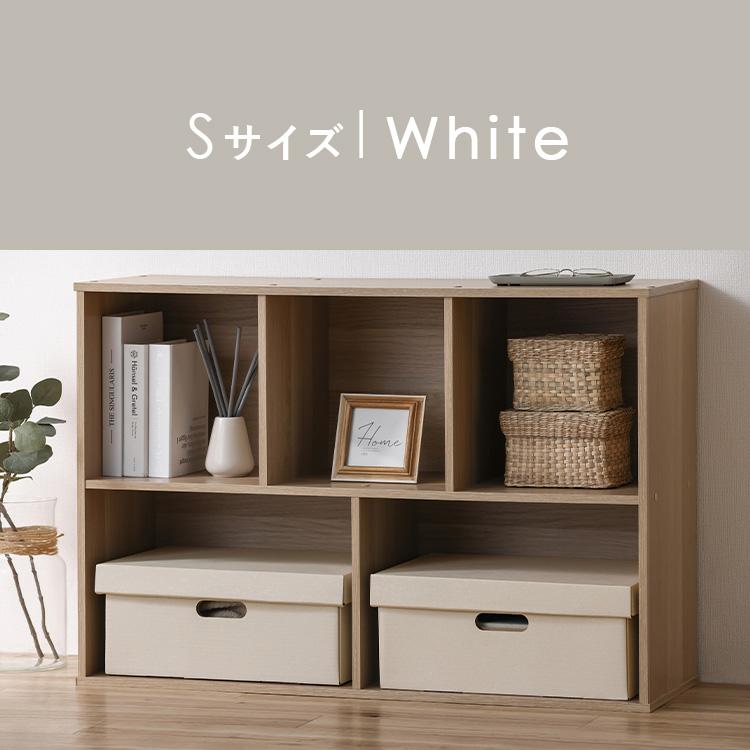 IRIS OHYAMA（アイリスオーヤマ） 収納ケース ふた付き 段ボール収納