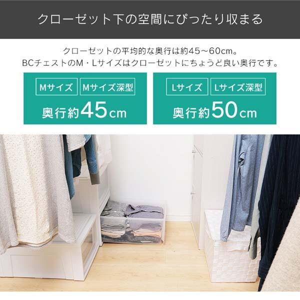 pickering カートリッジ 2個セット 2個収納ケース付 OM-S 楽天市場】[ 蓋付き収納ボックスワゴン 追加ボックス S ／ L