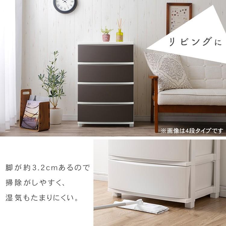 IRIS OHYAMA（アイリスオーヤマ） (2個セット) 収納ケース 2個セット