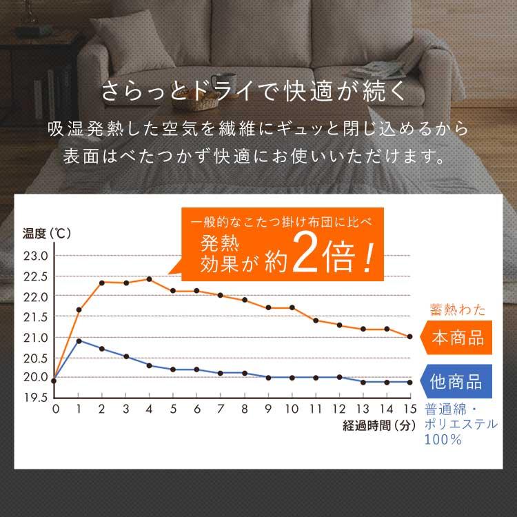 こたつ テーブル セット 掛け布団 デザインタイプ 80×60 こたつ掛布団セット アイリスオーヤマ_9