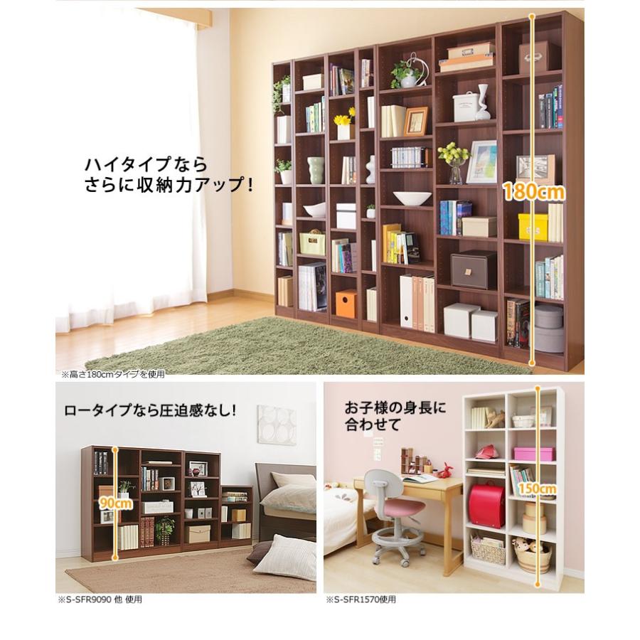 IRIS OHYAMA（アイリスオーヤマ） 収納ボックス カラーボックス