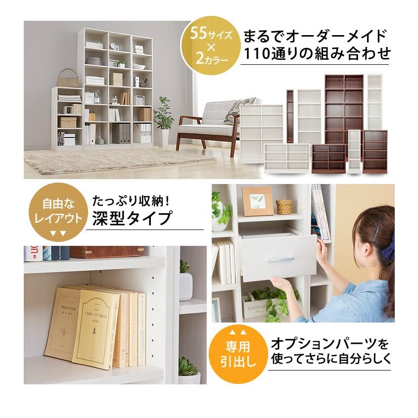 IRIS OHYAMA（アイリスオーヤマ） 収納ボックス カラーボックス