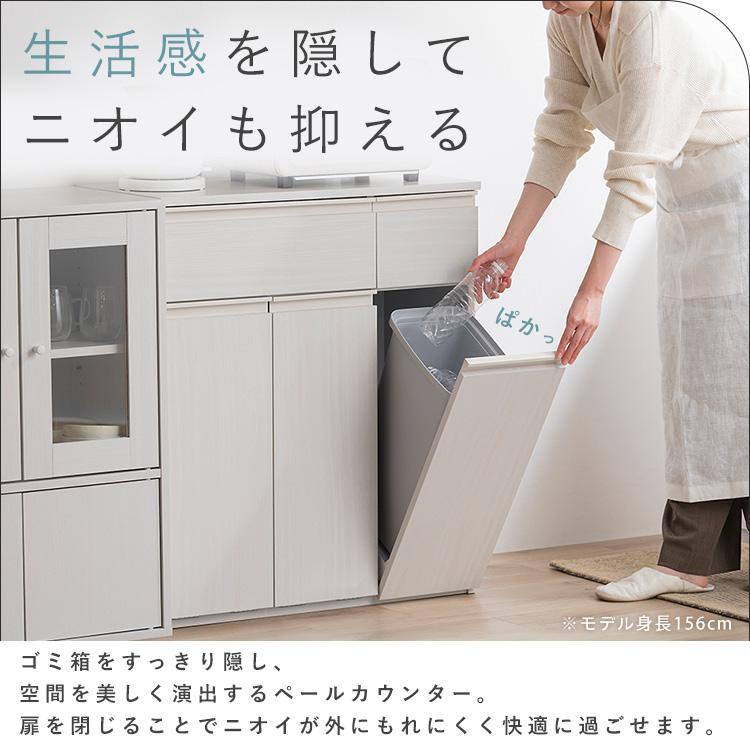 ゴミ箱 おしゃれ 棚 スリム 分別 カウンター ヴィンテージ アイリスオーヤマ ゴミ箱 おしゃれ 北欧 ホワイト 棚 スリム 分別 ゴミ箱に見えない