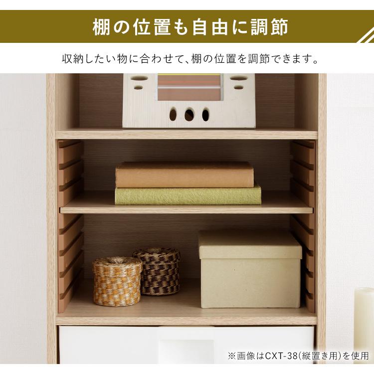 IRIS OHYAMA（アイリスオーヤマ） 収納ケース インナーボックス カラー