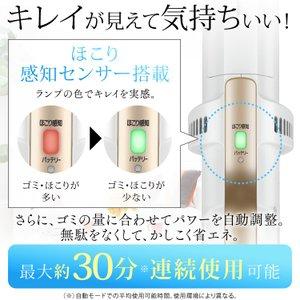 IRIS OHYAMA（アイリスオーヤマ） 掃除機 コードレス 紙パック式 
