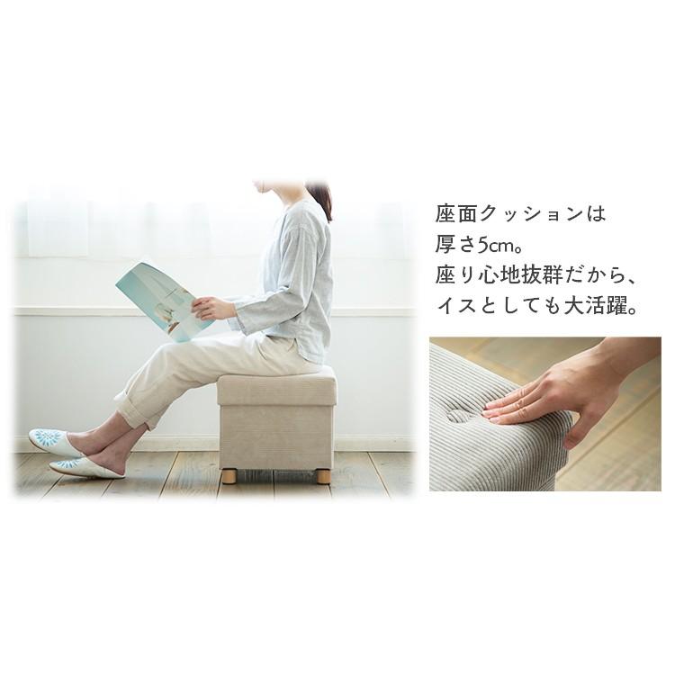 IRIS OHYAMA（アイリスオーヤマ） スツール 収納 おしゃれ 収納