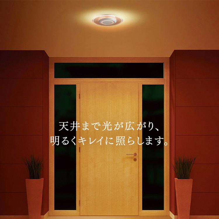 IRIS OHYAMA 小型シーリングライト LED シーリングライト 照明