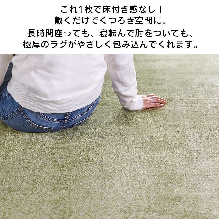 ラグ カーペット 3畳 おしゃれ 厚手 北欧 ラグマット 低反発 滑り止め 冬用 長方形 絨毯 ホットカーペット対応 185×240 ACRB-1824 アイリスオーヤマ :m529451:収納専科 sofort - 通販 - Yahoo!ショッピング ラグ カーペット 3畳 おしゃれ 厚手 北欧 ラグマット 低反発 滑り止め 冬用 長方形 絨毯 ホットカーペット対応 185×240 ACRB-1824 アイリスオーヤマ :m529451:収納専科 sofort - 通販 - Yahoo!ショッピング