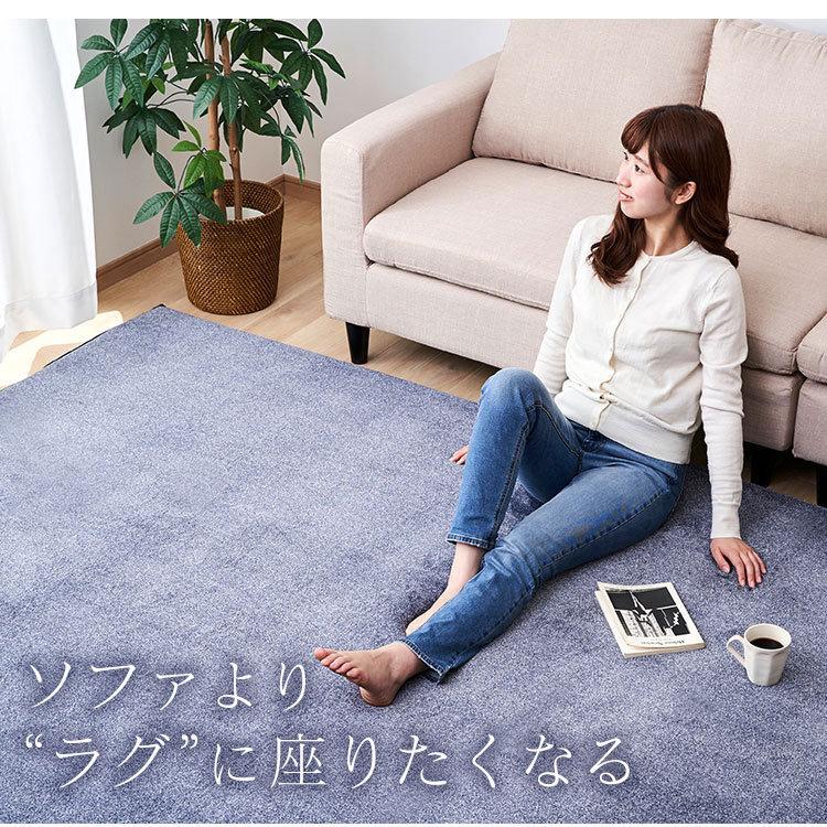 IRIS OHYAMA（アイリスオーヤマ） ラグ 厚手 ラグマット カーペット 低