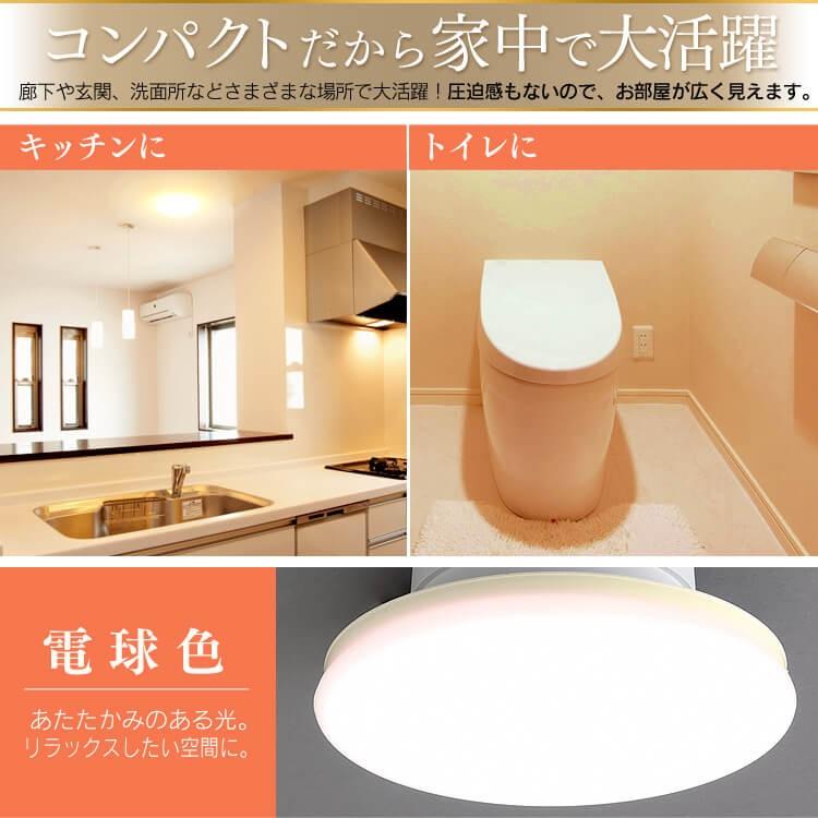 IRIS OHYAMA（アイリスオーヤマ） 小型シーリングライト 薄型 LED