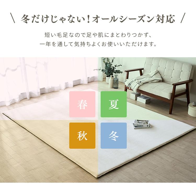 IRIS OHYAMA（アイリスオーヤマ） ラグ カーペット 3畳 ラグマット