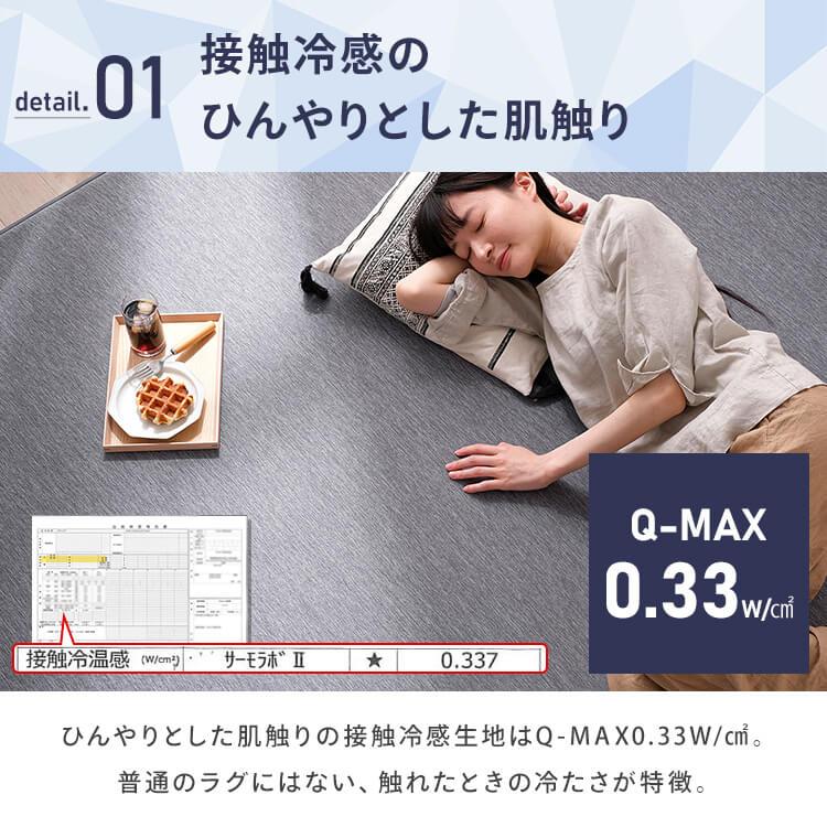 IRIS OHYAMA（アイリスオーヤマ） ラグ カーペット ラグマット 夏用