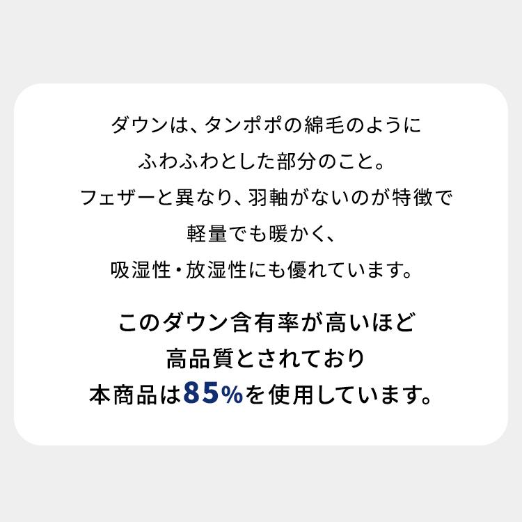 西川 ダウンケット WDD85% KE02005003 (D)｜sofort｜10