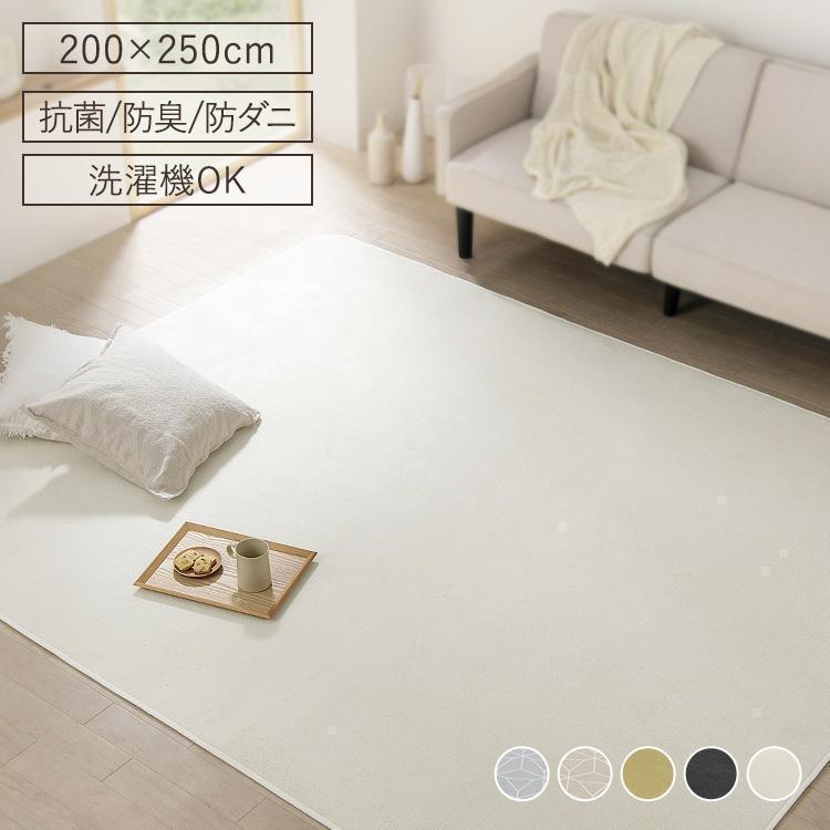 ラグ カーペット 3畳 ラグマット 洗える 夏用ラグ 夏用 おしゃれ 安い 北欧 洗えるラグ 絨毯 200×250 ORG-SP2025 (D)（Yahoo!・家具インテリア館Yahoo!店）