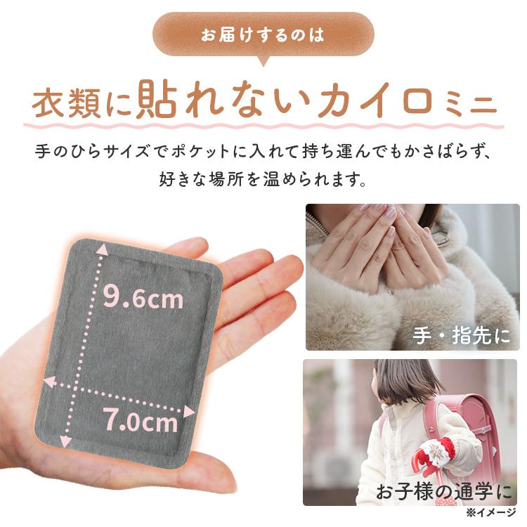 IRIS OHYAMA（アイリスオーヤマ） カイロ 貼らない ミニ 使い捨て
