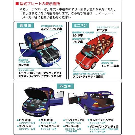 99工房 【ネコポス】ソフト99 タッチアップペン（筆塗り塗料） T-13