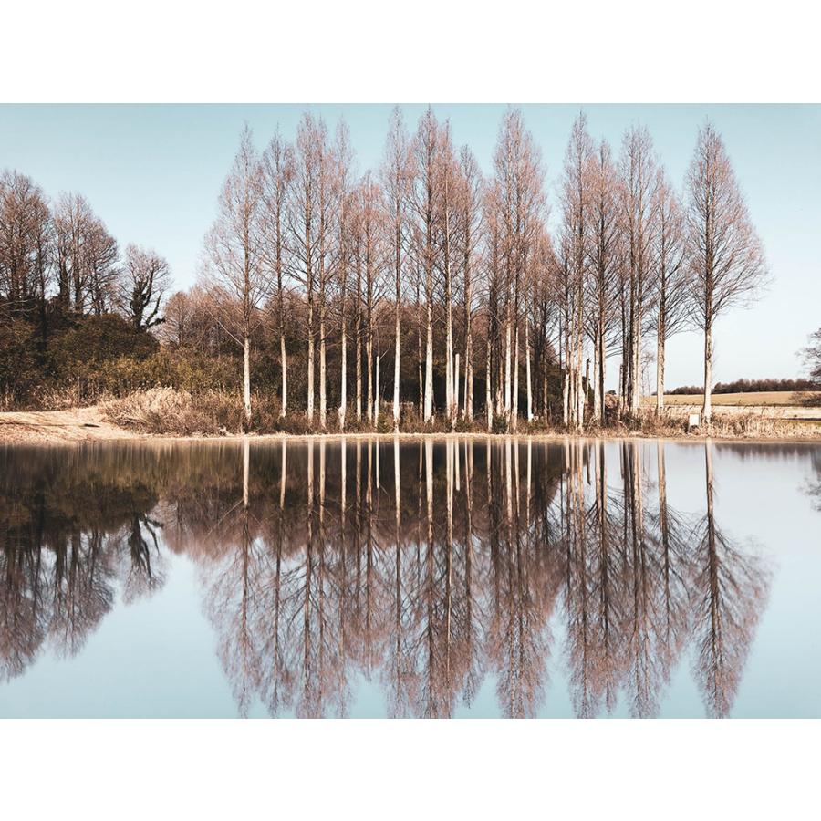 Gizmon Uyuni Mirror ウユニミラー ウユニ湖 上下シンメトリー 動画撮影 写真撮影 ポートレート ランドスケープ スマートフォン Iphone ソフトバンクセレクション 通販 Yahoo ショッピング