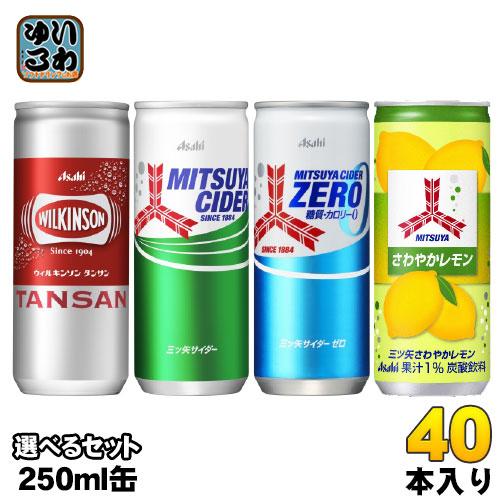 多種類の飲料セット 47個 送料無料 当日翌日出荷 】 2ケース 13種 合計60本 セット 炭酸