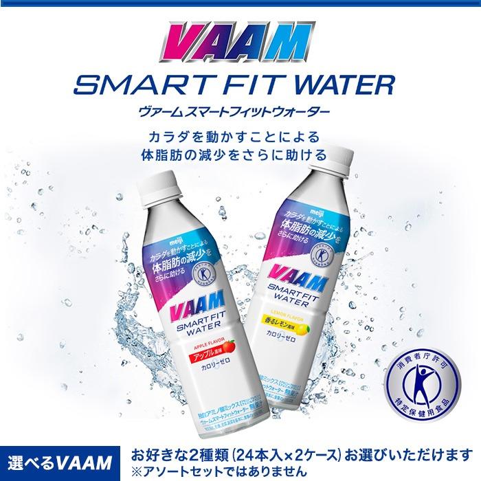 VAAM 明治 ヴァーム スマートフィットウォーター 500ml ペットボトル