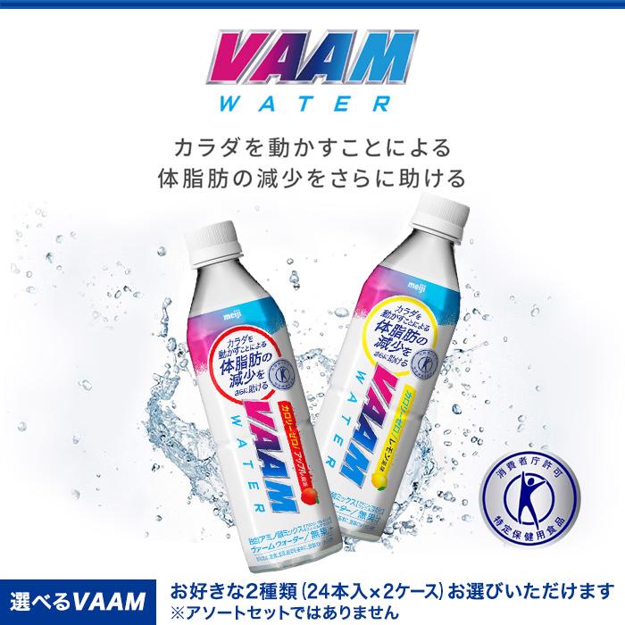 VAAM 明治 ヴァームウォーター 500ml ペットボトル 選べる 48本 (24本