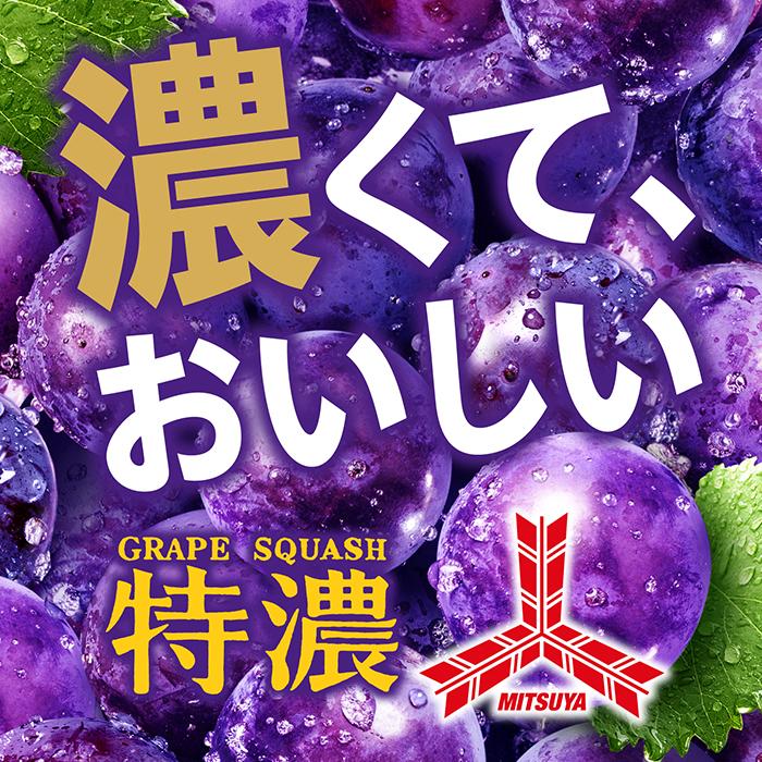 三ツ矢 アサヒ 特濃 グレープスカッシュ 500ml ペットボトル 48本 (24