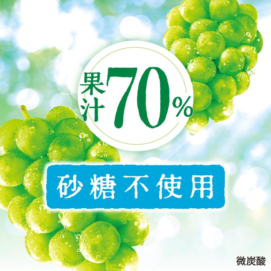 三ツ矢 アサヒ 果実のあまみ 白葡萄 500ml ペットボトル 48本 (24本入