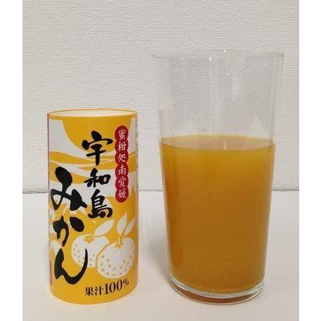 愛工房 宇和島みかん 125ml カート缶 30本入｜softdrink｜03