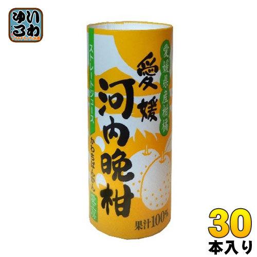愛工房 河内晩柑 125ml カート缶 30本入 : いわゆるソフトドリンクのお