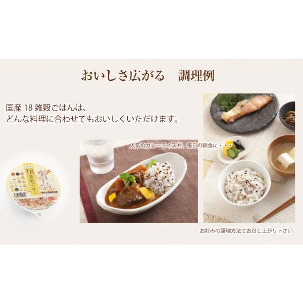 アイズ 国産18雑穀ごはん 160g 36個入 パックご飯 食品 レトルト