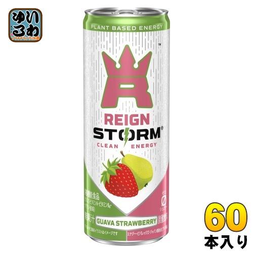 Reign storm エナジードリンク　 グァバストロベリー　グレープ2ケース アサヒ（asahi） レインストーム グァバストロベリー 250ml 缶 60本