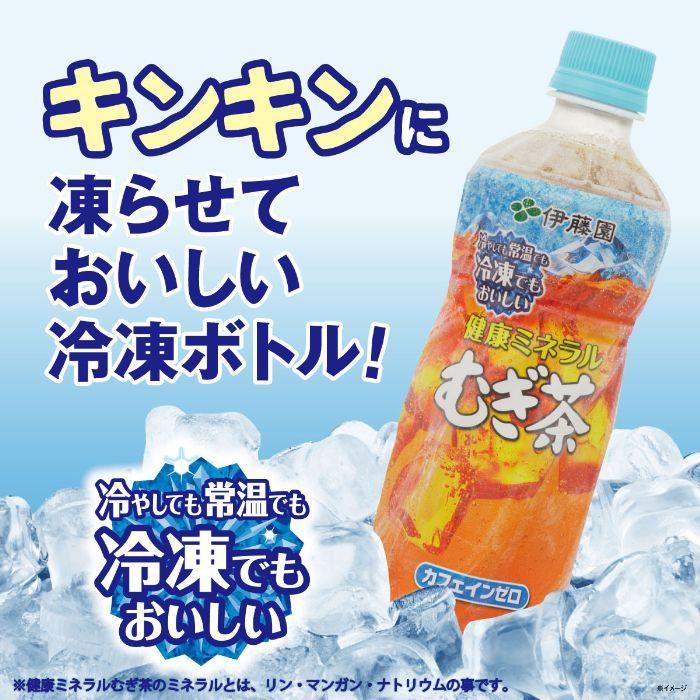 伊藤園 健康ミネラルむぎ茶 冷凍ボトル 485ml ペットボトル 48本 (24本入×2 まとめ買い) お茶 デカフェ ノンカフェイン｜softdrink｜04