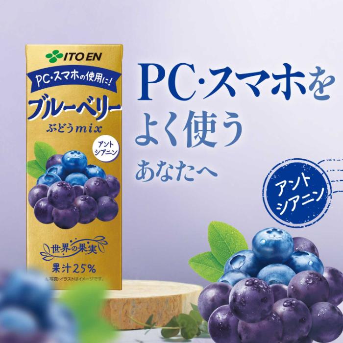 伊藤園（ITO EN） ブルーベリーぶどうmix 200ml 紙パック 72本 (24本入