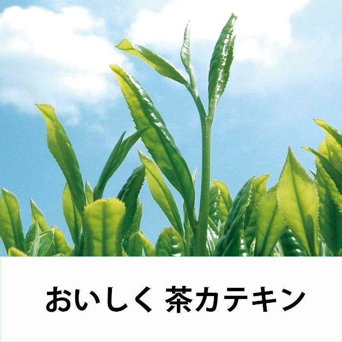 お〜いお茶 伊藤園 緑茶 195ml ペットボトル 30本入 お茶 茶 おちゃ
